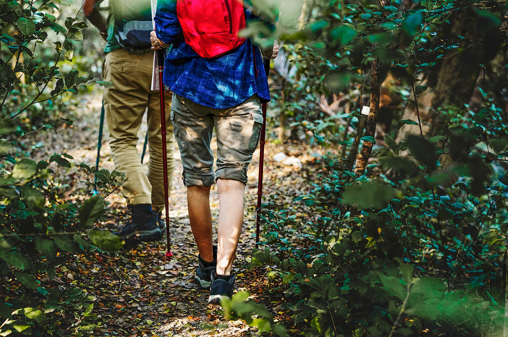 Geführte Wanderung